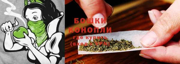 МДПВ Новозыбков