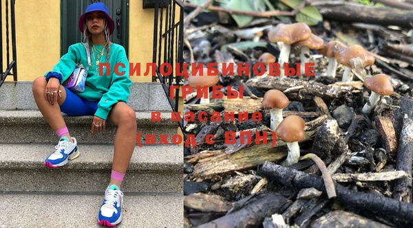 МДПВ Новозыбков