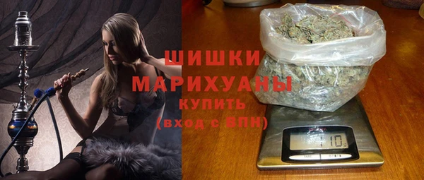 МДПВ Новозыбков