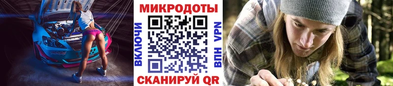 Псилоцибиновые грибы Psilocybine cubensis  закладка  Фрязино 
