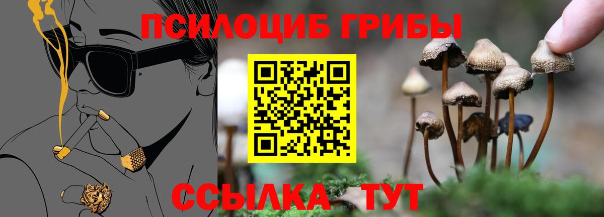 Галлюциногенные грибы MAGIC MUSHROOMS Фрязино